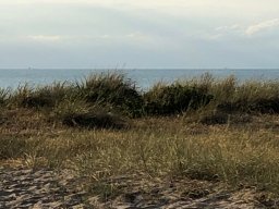 img_1686