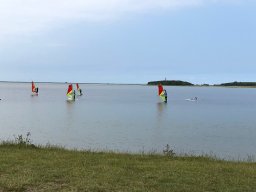 img_1691