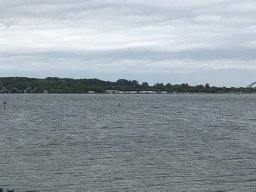 img_1703
