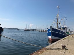img_1716