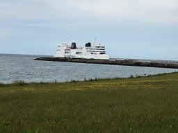 img_1728