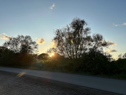 IMG_8760