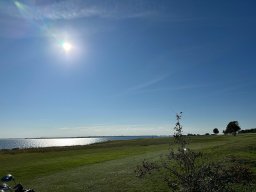 IMG_8775