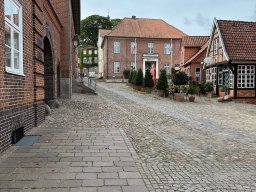 IMG_8815